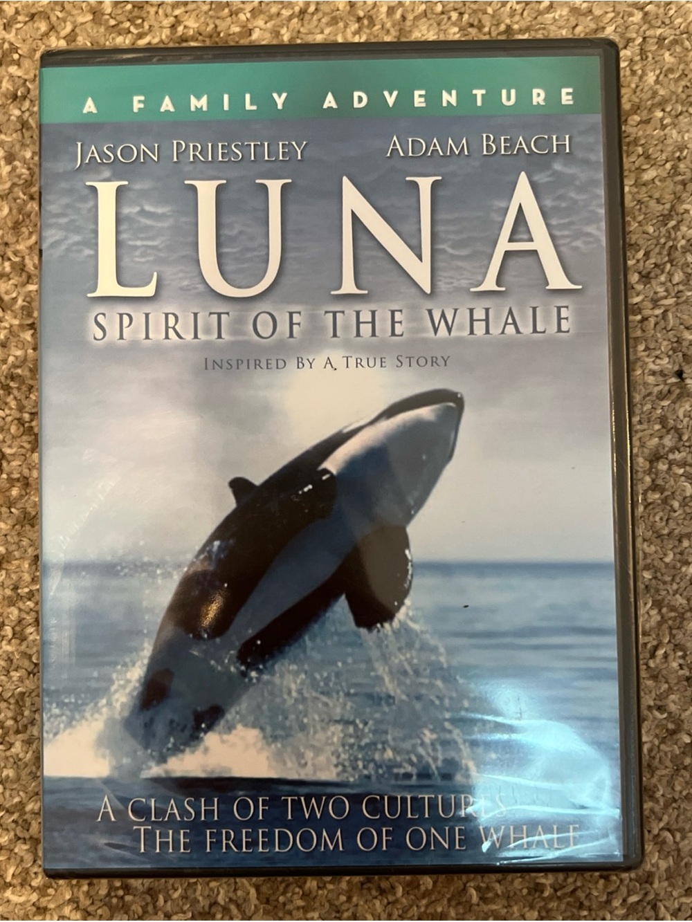 Luna (DVD) Jason Priestley / New Sealed